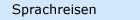Sprachreisen